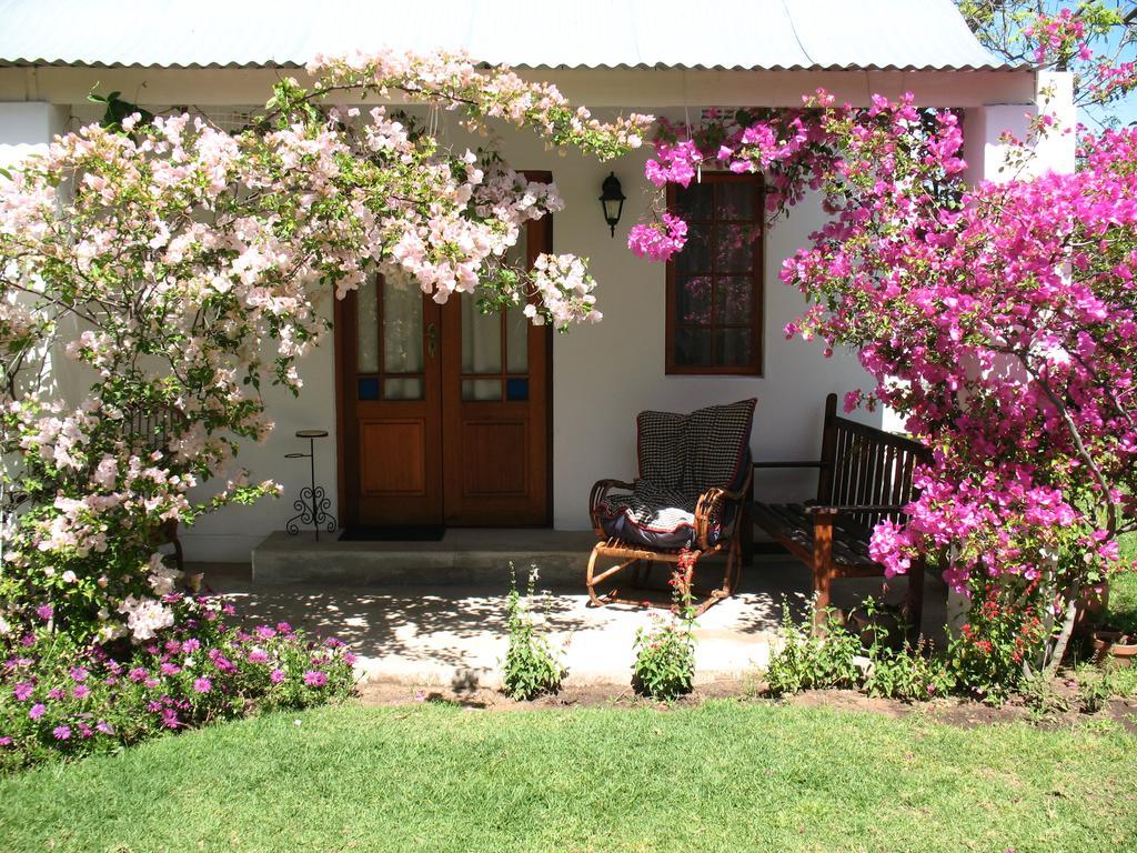 Elephant River Guest House Clanwilliam Exterior photo